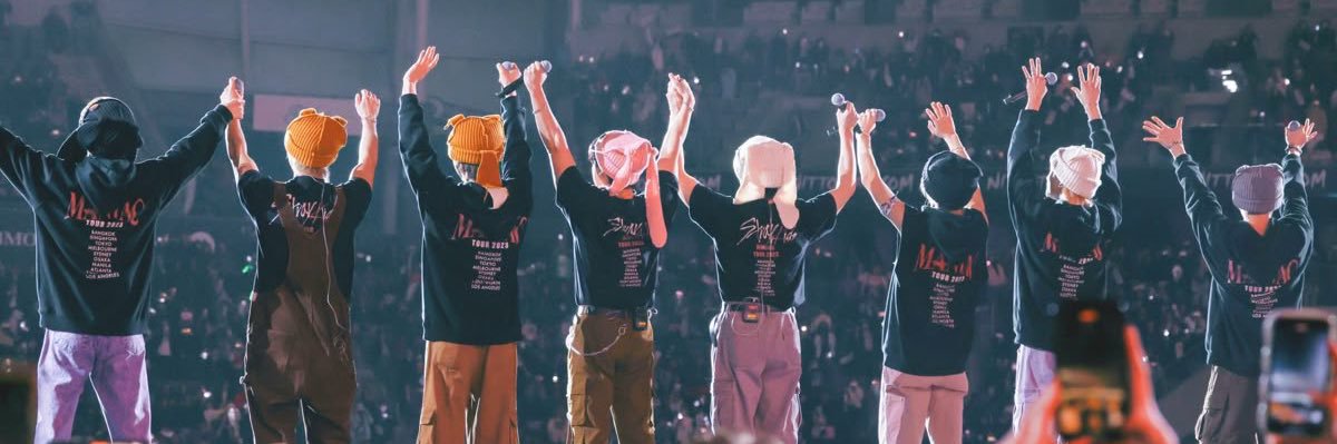 ۶ৎ ariii ݁ ˖Ი𐑼⋆ banner