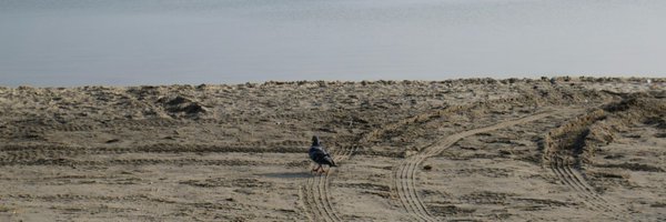 ___hdd_ Profile Banner