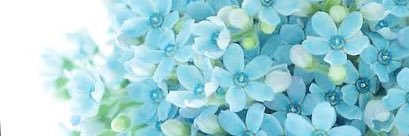 ykc2716's profile banner image