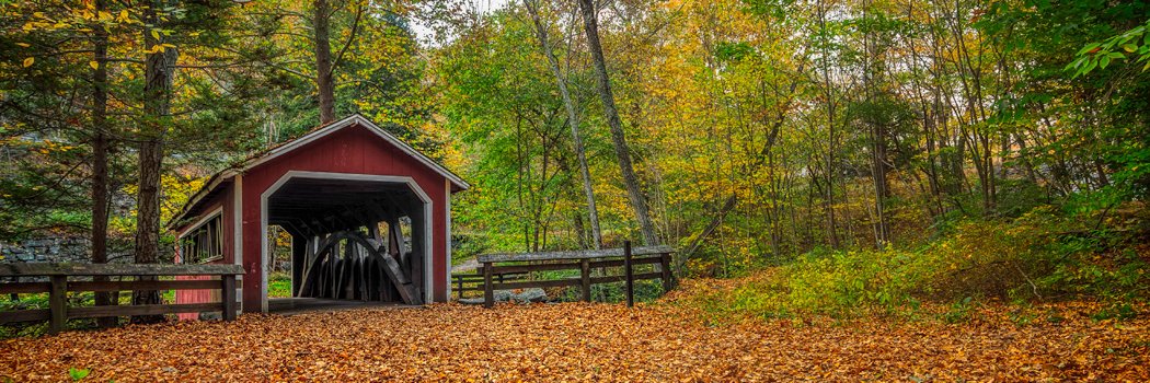 TONIGHTS THE NIGHT banner