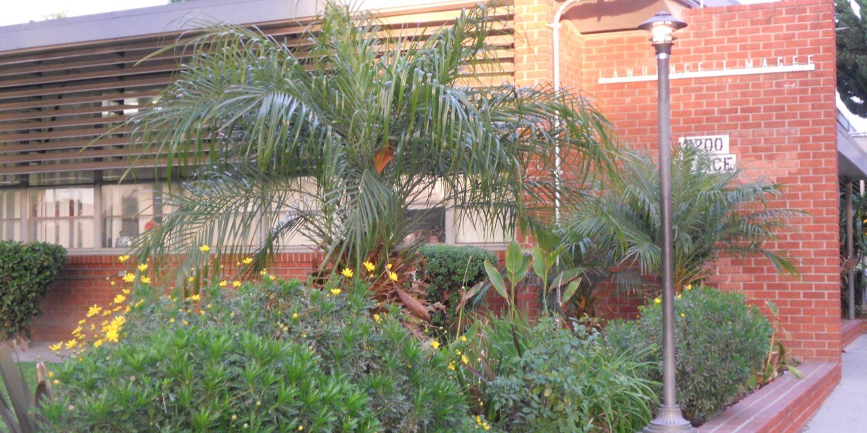 Magee Academy banner