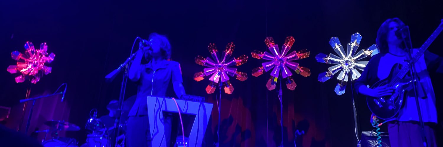 dinonena banner