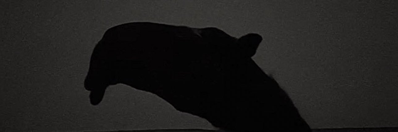 عـلـقـم banner