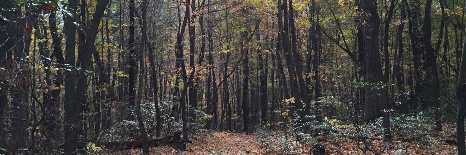 emmieoodle's profile banner image