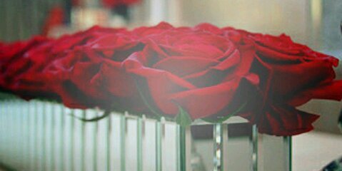 rawansalehaa's profile banner image