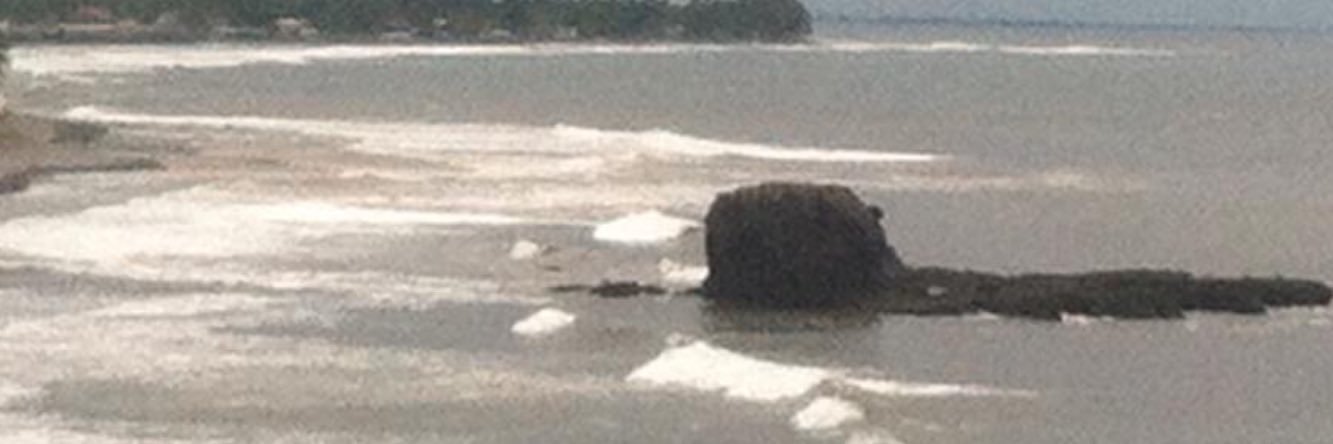 herbert ramos banner