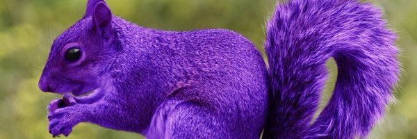 AndreaFClarkson's profile banner image
