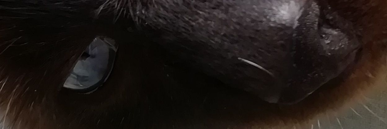 666_alf's profile banner image