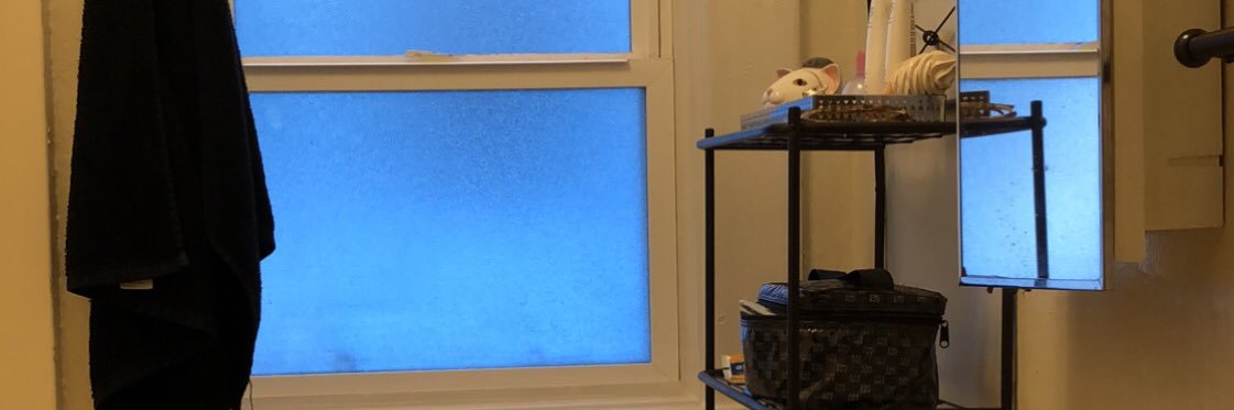 tofuwater's profile banner image