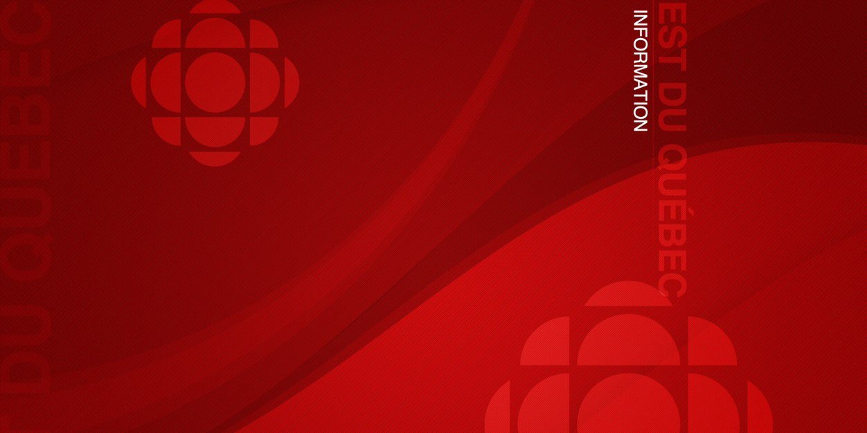 Patrick Bergeron banner