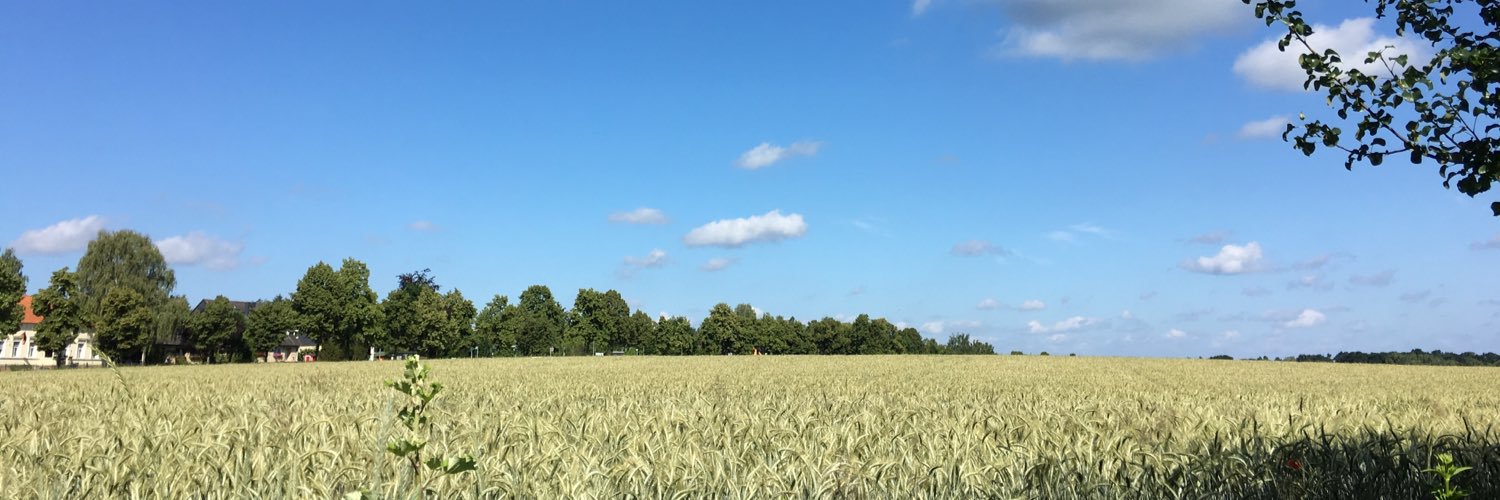 erezson's profile banner image