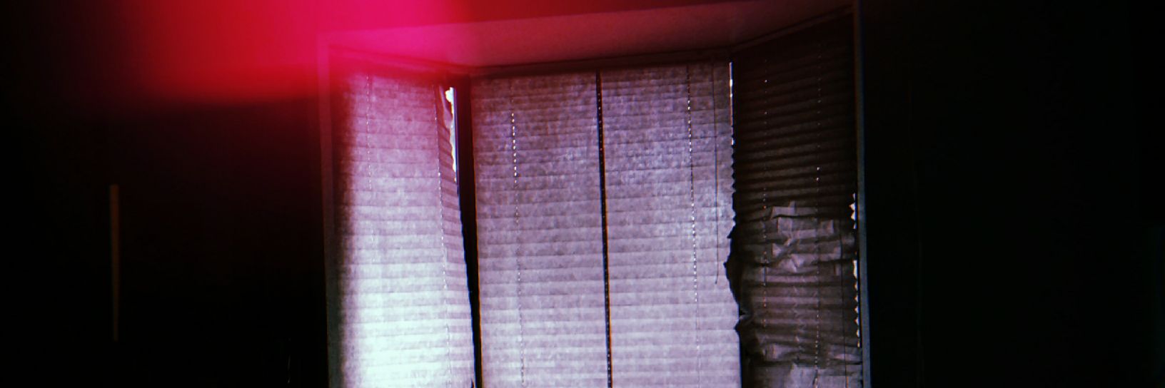 kimymustri's profile banner image