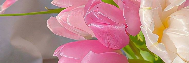 Juwi 🌻🌻 banner