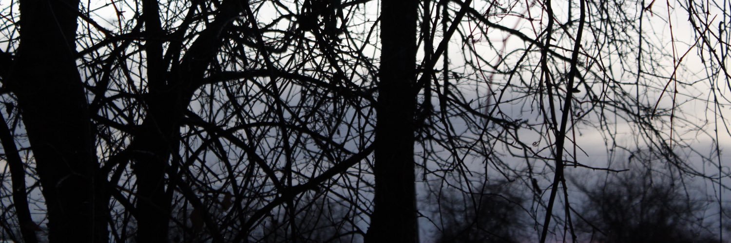 a__mccutcheon's profile banner image
