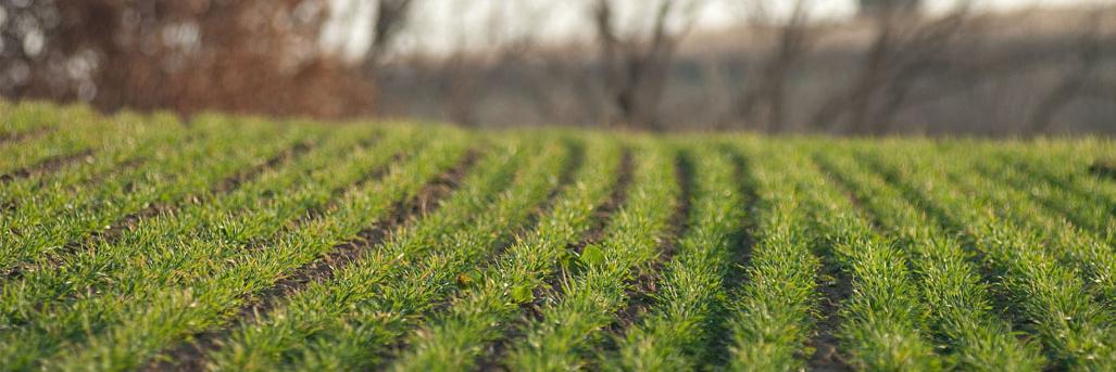 Chris Blanchard banner