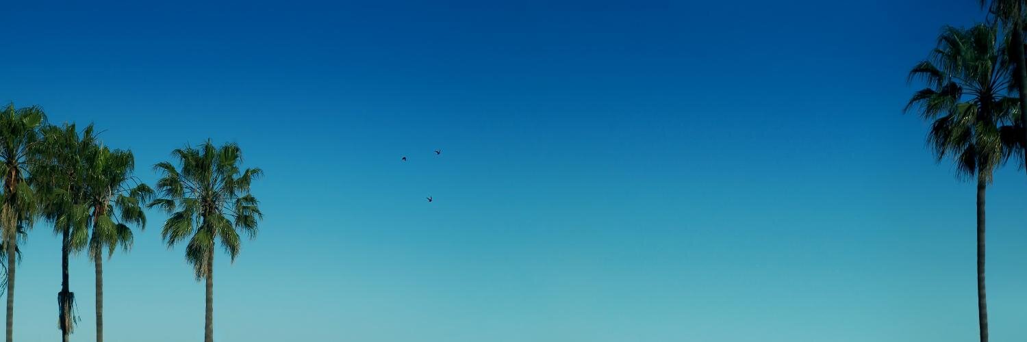 (((Thomas of Borg))) banner