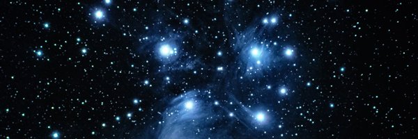 trinaryvm Profile Banner