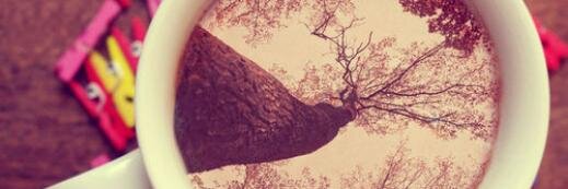 ChechuCorre's profile banner image
