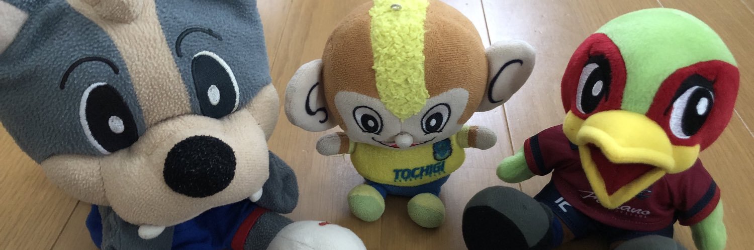 tokko's profile banner image