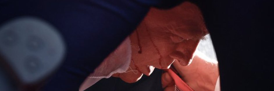 Teddy Peppercorn 🍊🇺🇸🇸🇯 banner