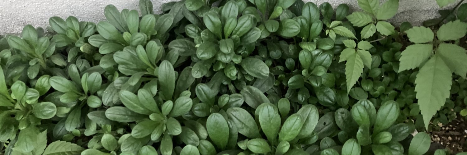 ✨卜アルマ✨ banner