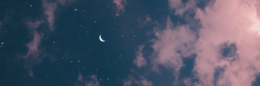 NatTheCat33's profile banner image