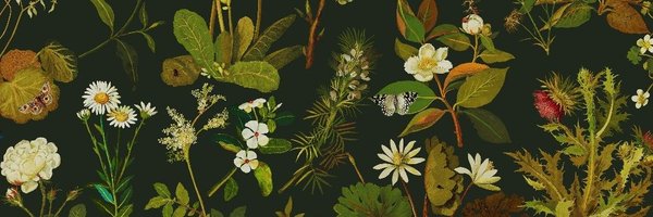 scoobyfrommars Profile Banner