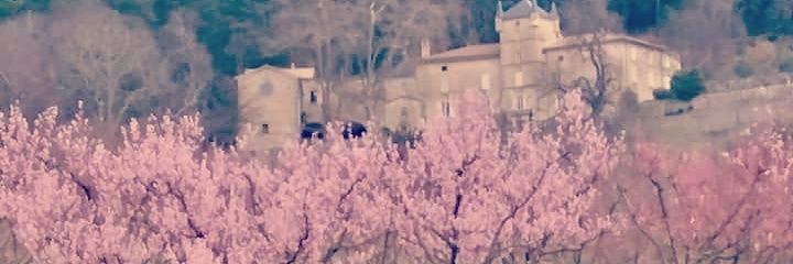 Leslie Ladd🌟 banner