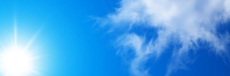 tip_rose's profile banner image