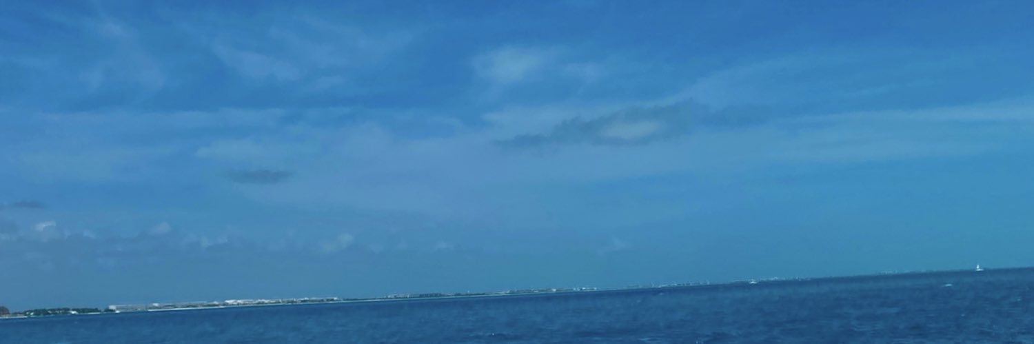 luu241066's profile banner image