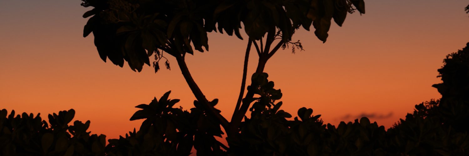 metzmedia's profile banner image