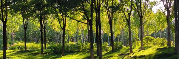 rules4thing Profile Banner