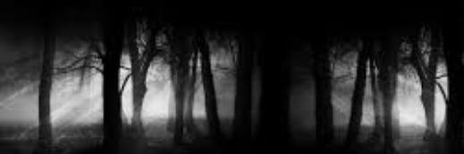 thtonegurrl's profile banner image