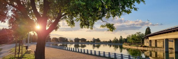 efeuradonc Profile Banner