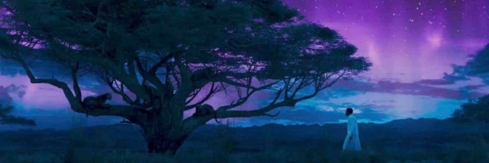 Acedmnds's profile banner image