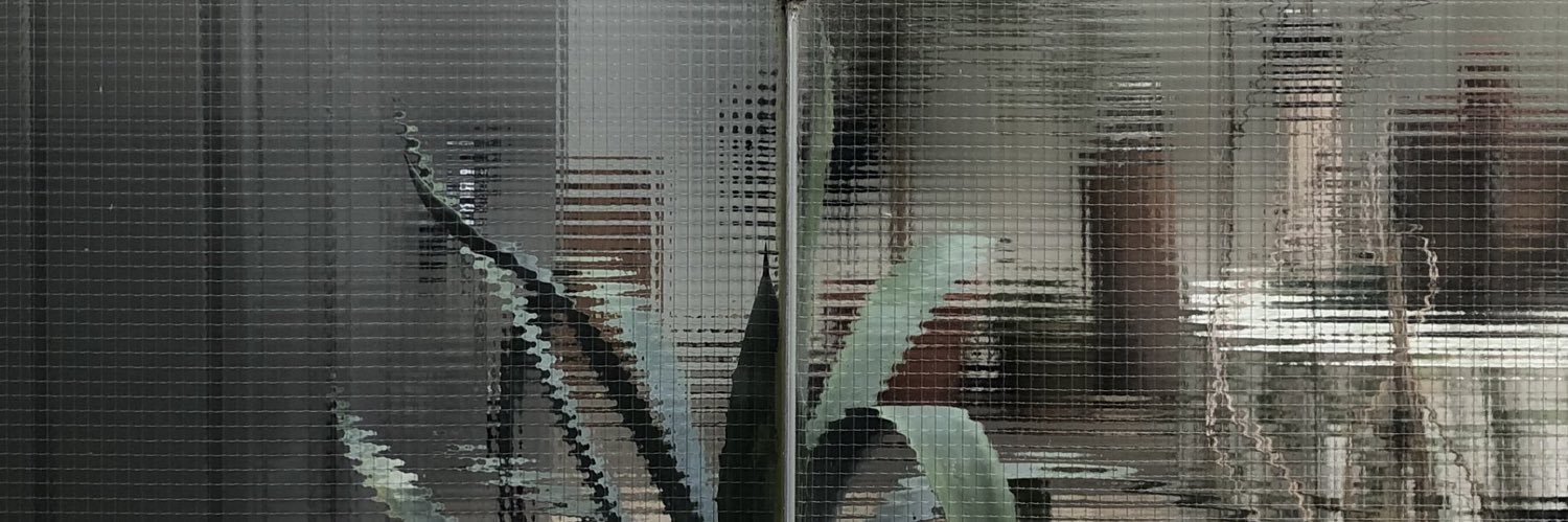 LEXO banner