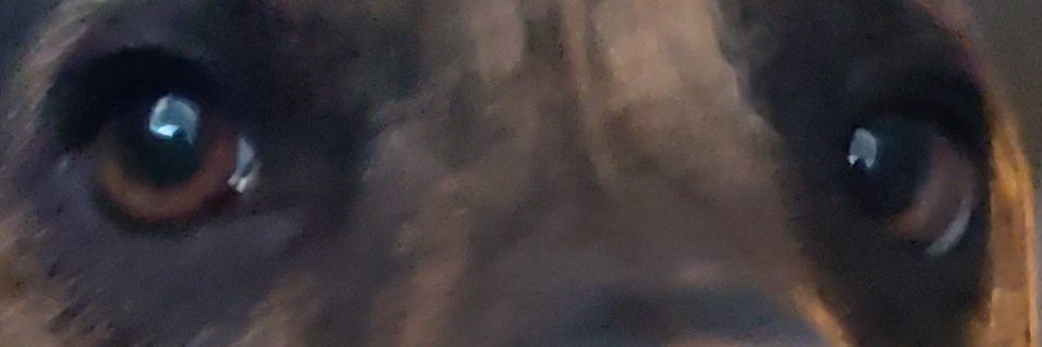 CaseyOliver15's profile banner image