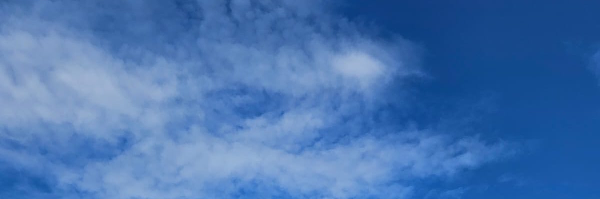 neckni's profile banner image