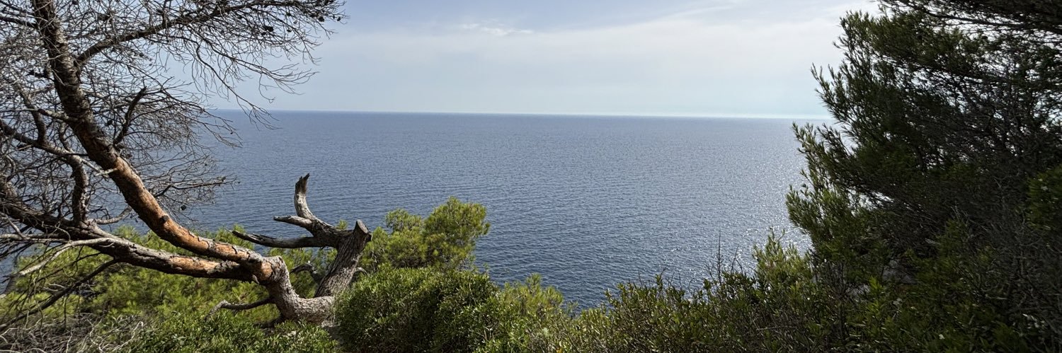 ♦️ZT♦️ banner