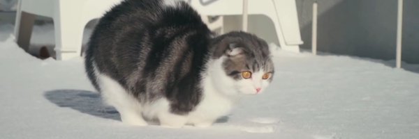 R_rina_09 Profile Banner