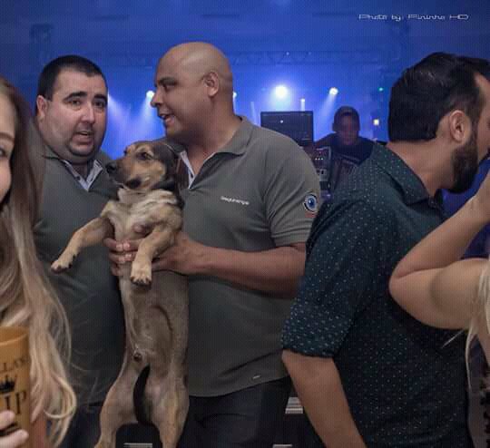 gabssoaresc's profile banner image