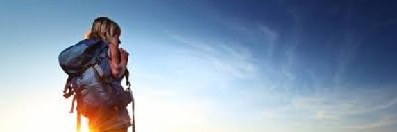 World Beauty's's banner