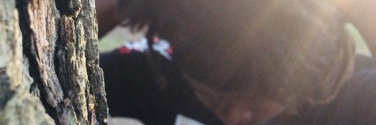 KV_X010's profile banner image