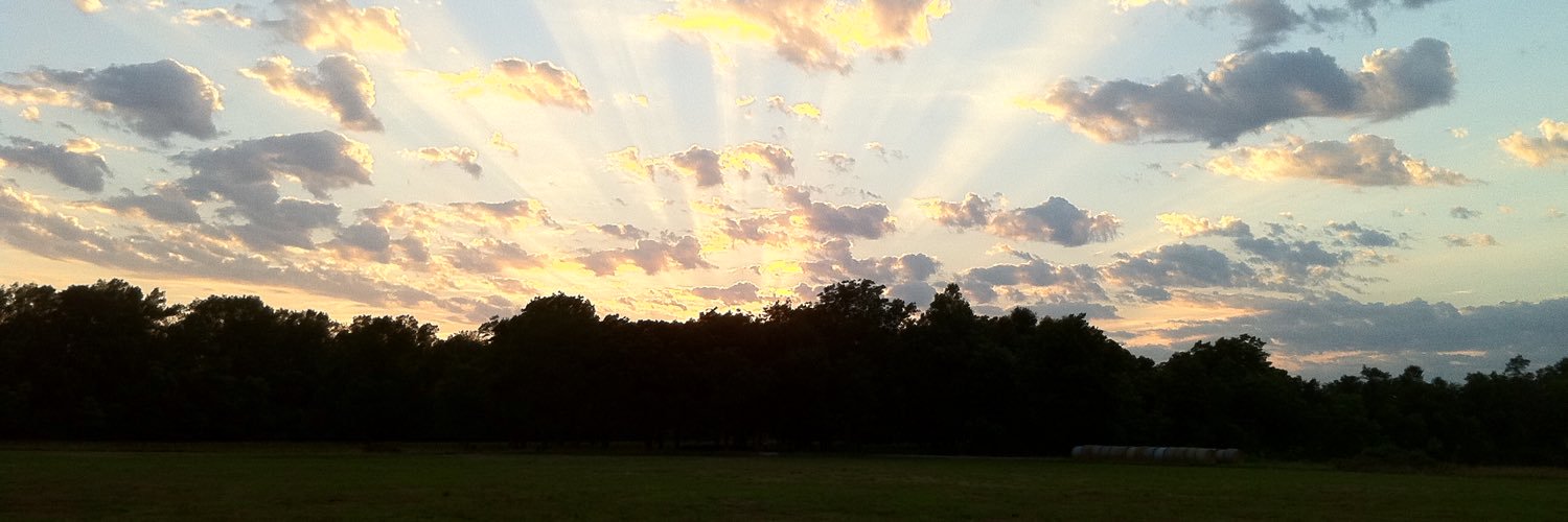 mellott's profile banner image