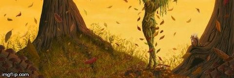 bhogge's profile banner image