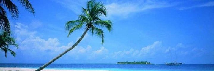 badgerhawk3's profile banner image