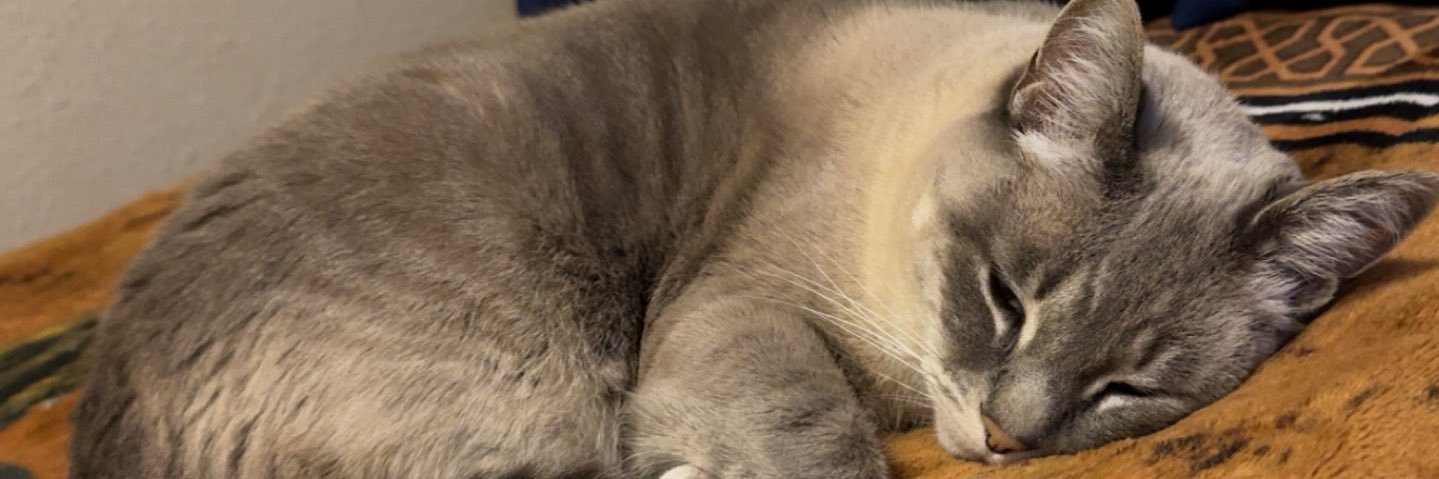 Notorioussssj's profile banner image