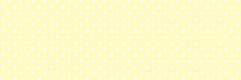 AnneBarreto4's profile banner image