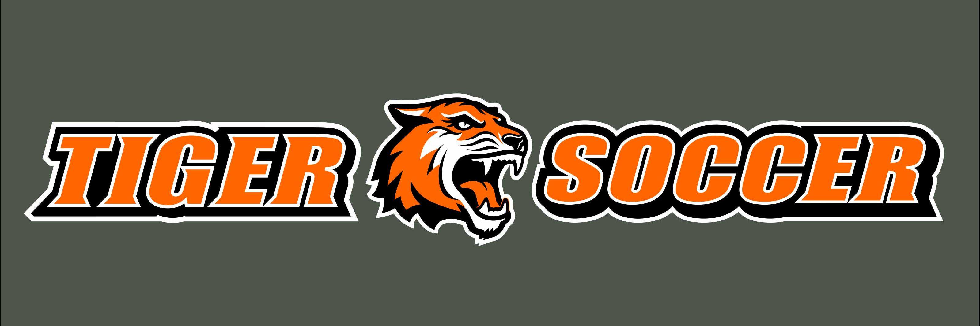 RIT Women's Soccer banner