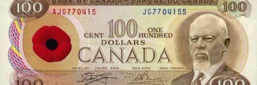 Pilot 🇨🇦🇺🇸's banner
